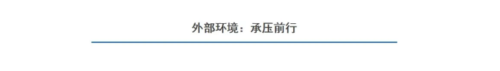 2020年度热水器市场总结报告_燃气取暖壁挂炉