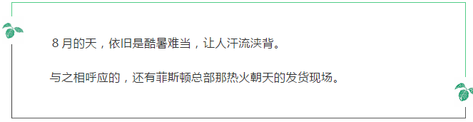 【菲斯顿壁挂炉】８月发货很繁忙，销售业绩节节高_壁挂炉如何加压