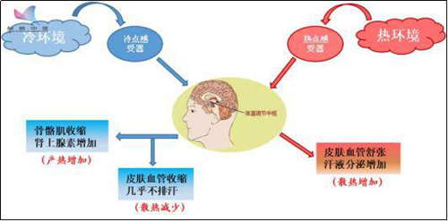 家庭采暖系统的最佳温度调控区间你清楚嘛？_电暖壁挂炉