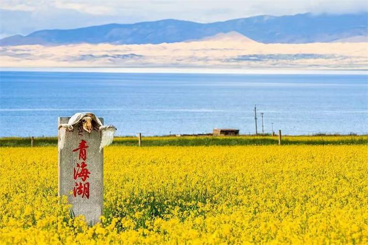 征服高寒的绿色先锋！生能空气能以一个个项目在青海打造温暖节能新标杆！_合资空气能品牌